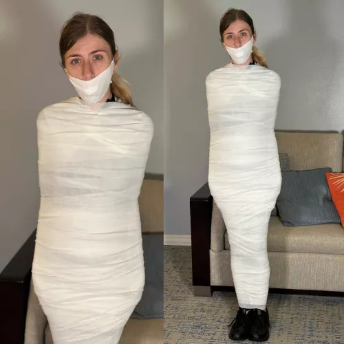 Catburglar Winter Flynn got herself wrapped up in quite a predicament! by DavidRoeperConcepts