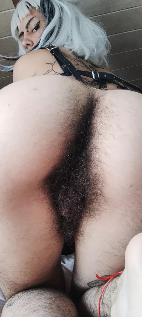 Do you dare to enter [h] by roto__