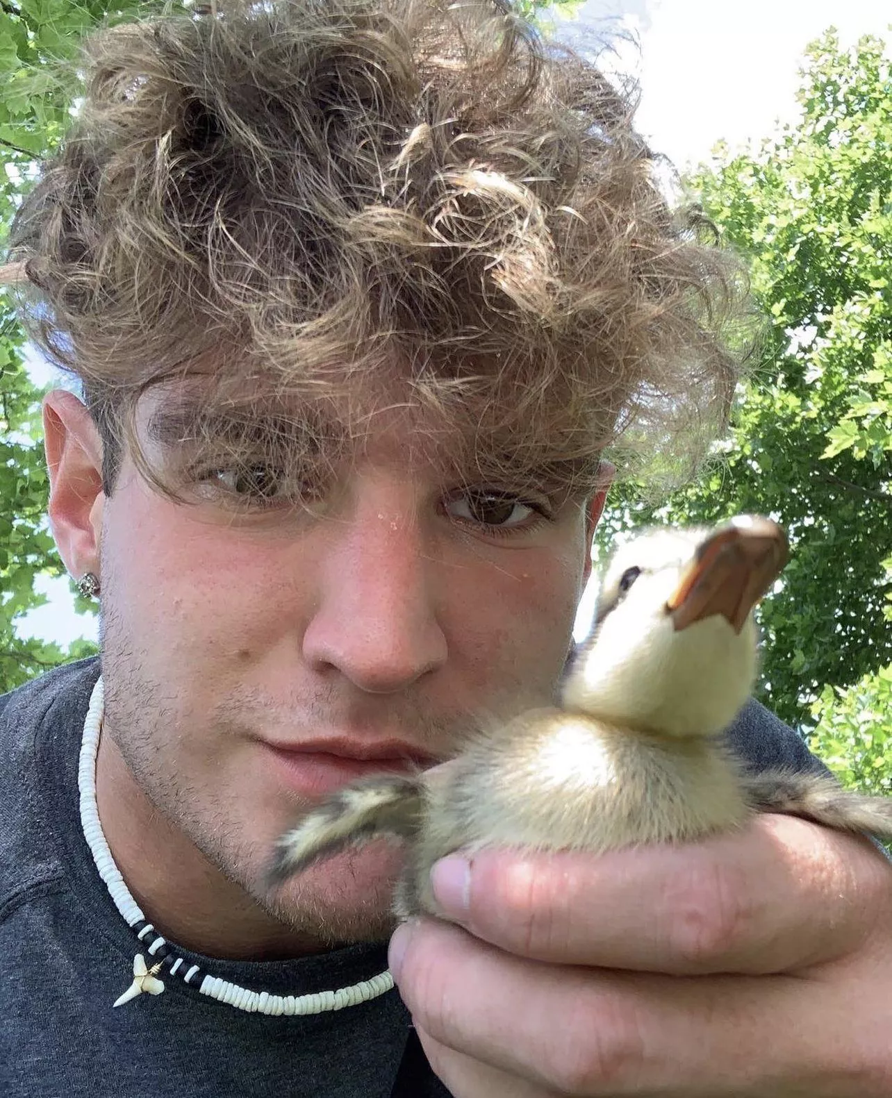 Lil dude says “good morning world” 🐥 posted by unplugged_freezer