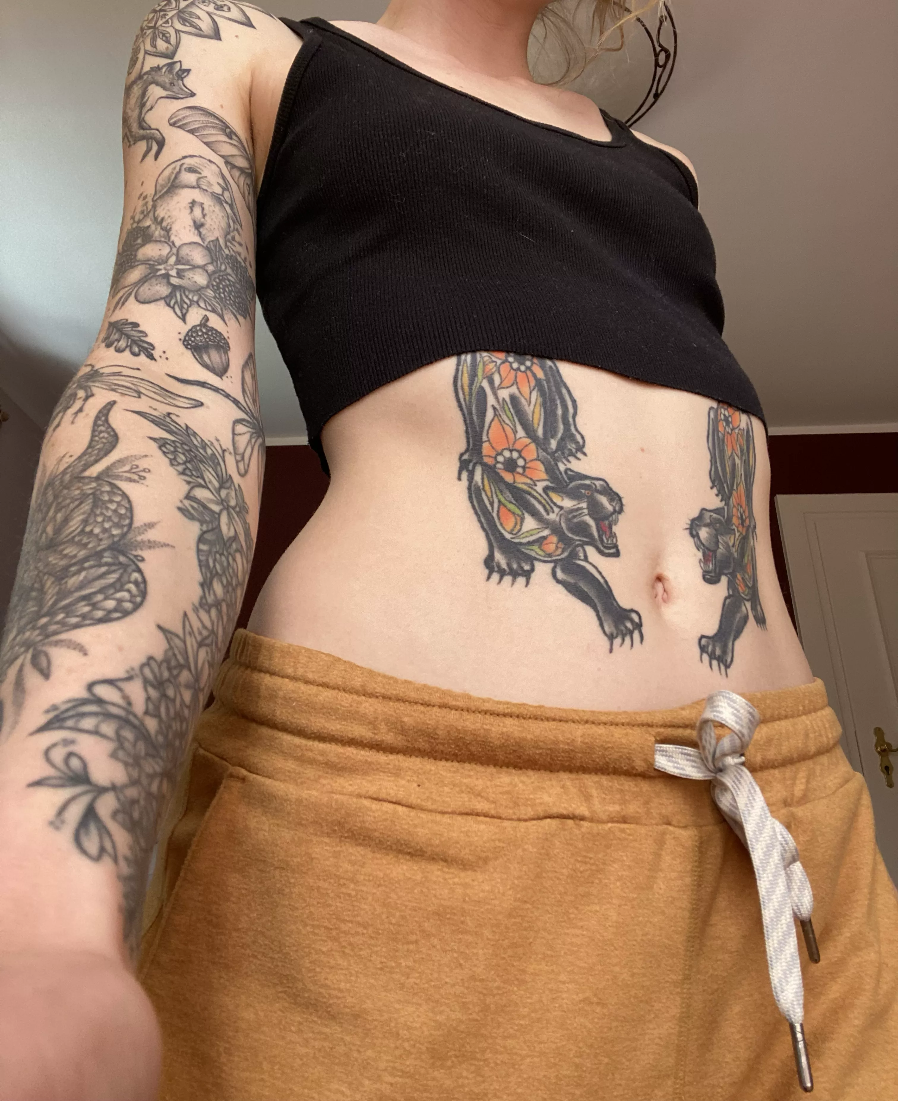 meow posted by seekingquinn