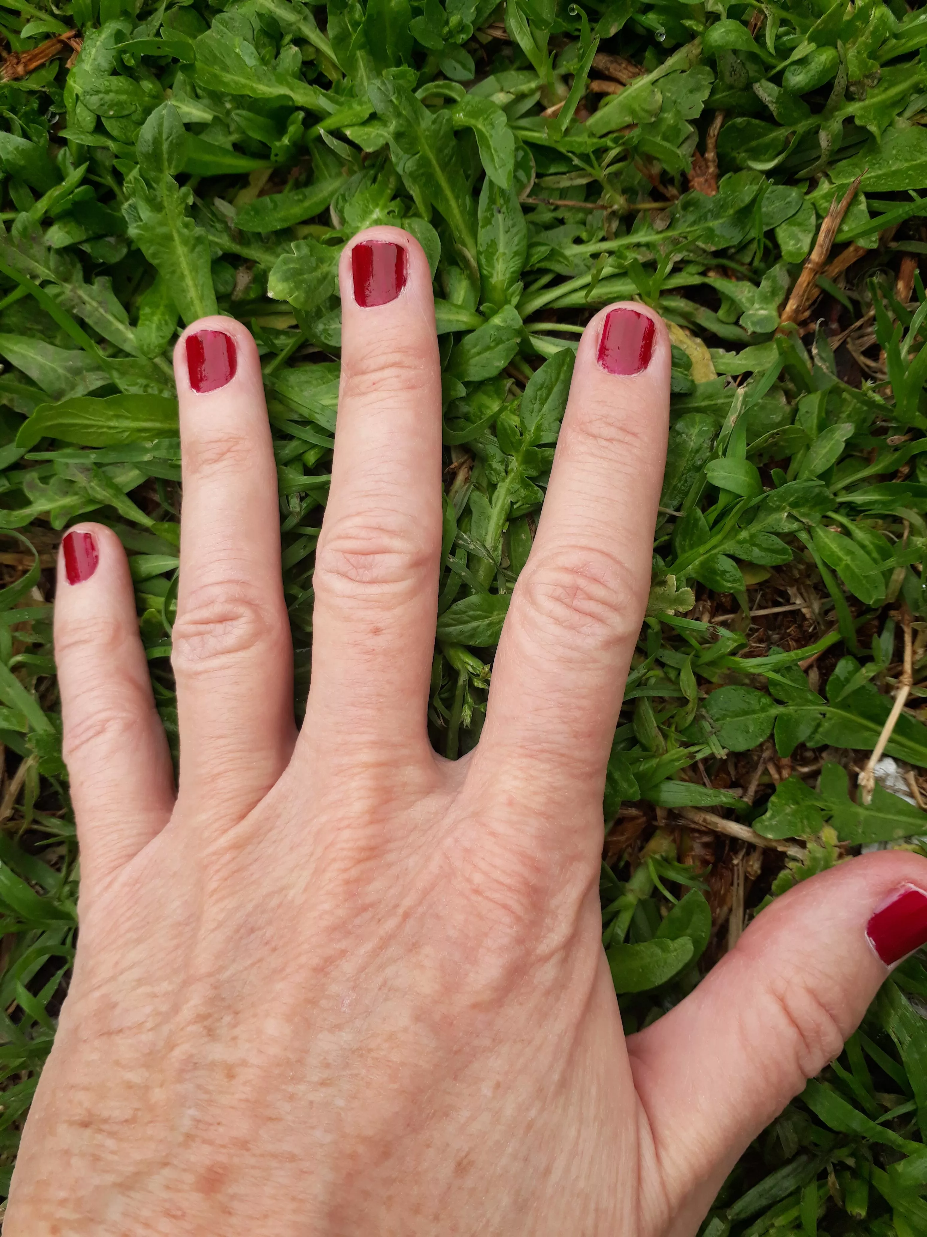 Nature hands🙌🔥😈 posted by CoachAutoestima