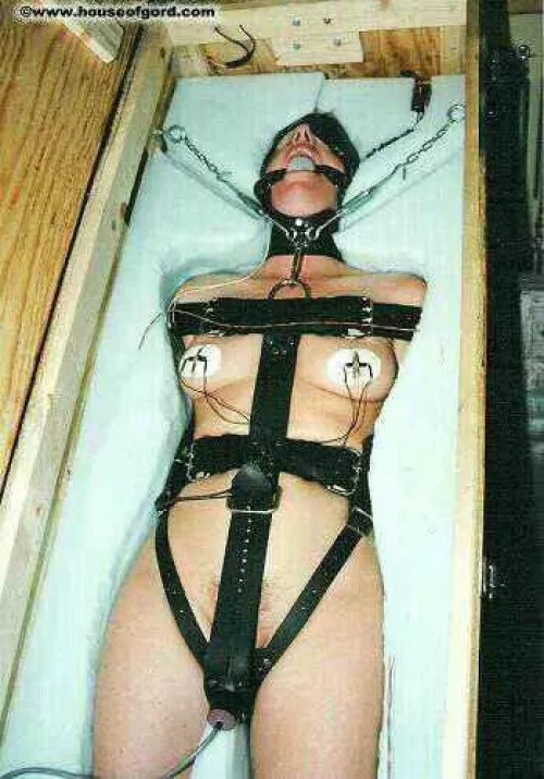 Packaged for Overseas Shipping by PackagingPeopleInc