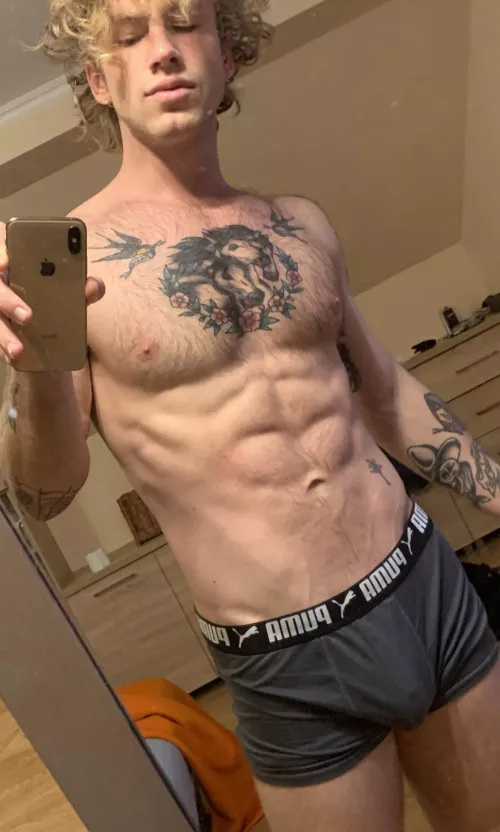 Pumas by AlphaJake23