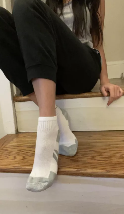 [Selling][US] I got somewhere you can stick your nose ❤️ by Silly-Asian-Kitty