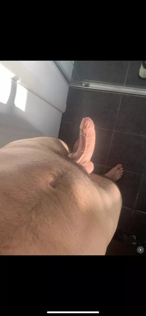 Semi in the sun by BetterTraining9769