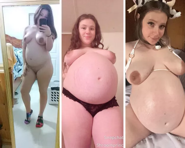 shroomprincess's 1st, 2nd and 3rd pregnancy by shroomprincess0