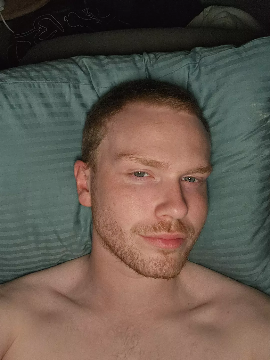 Snuggles? posted by YourVeryOwnGingerBoi
