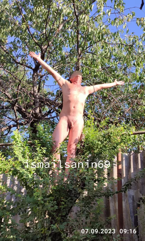 Sunny Thursday in my garden by izmailchanin69