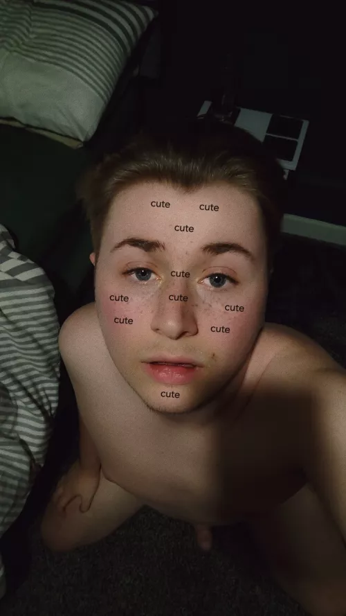 20 and on my knees for you, waiting in the dms by bihornychatter1247