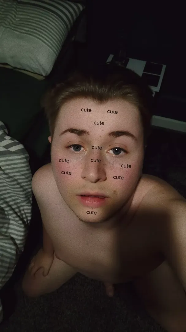 20 and on my knees for you, waiting in the dms posted by bihornychatter1247