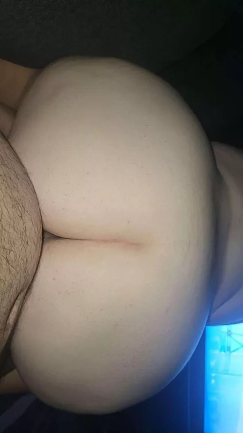 Best seat in the house by Environmental-Cow396