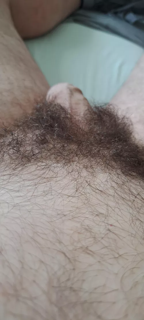 Hairy is the best by uniquefish6713