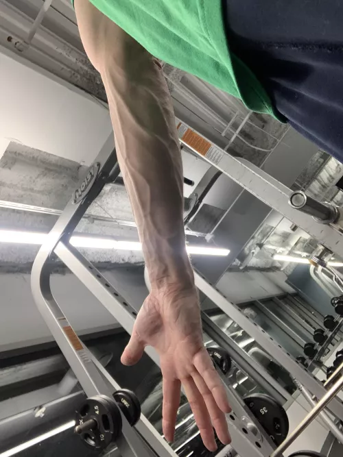 Vascularity by covet_thyself