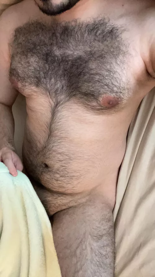 27 alone and bored , let’s have some fun sc: gayhairyvers by tas106