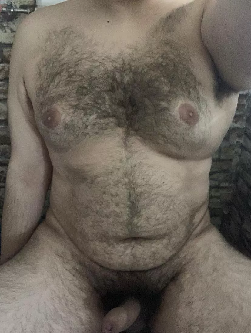 Am I a otter or a bear? posted by hairycub2