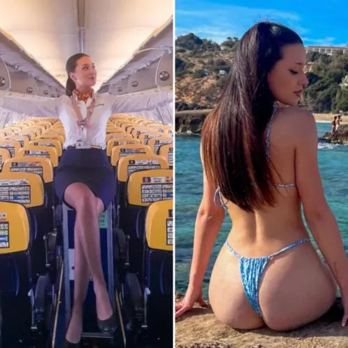 Best job in the world 🇪🇸 by arrayoutofbounds