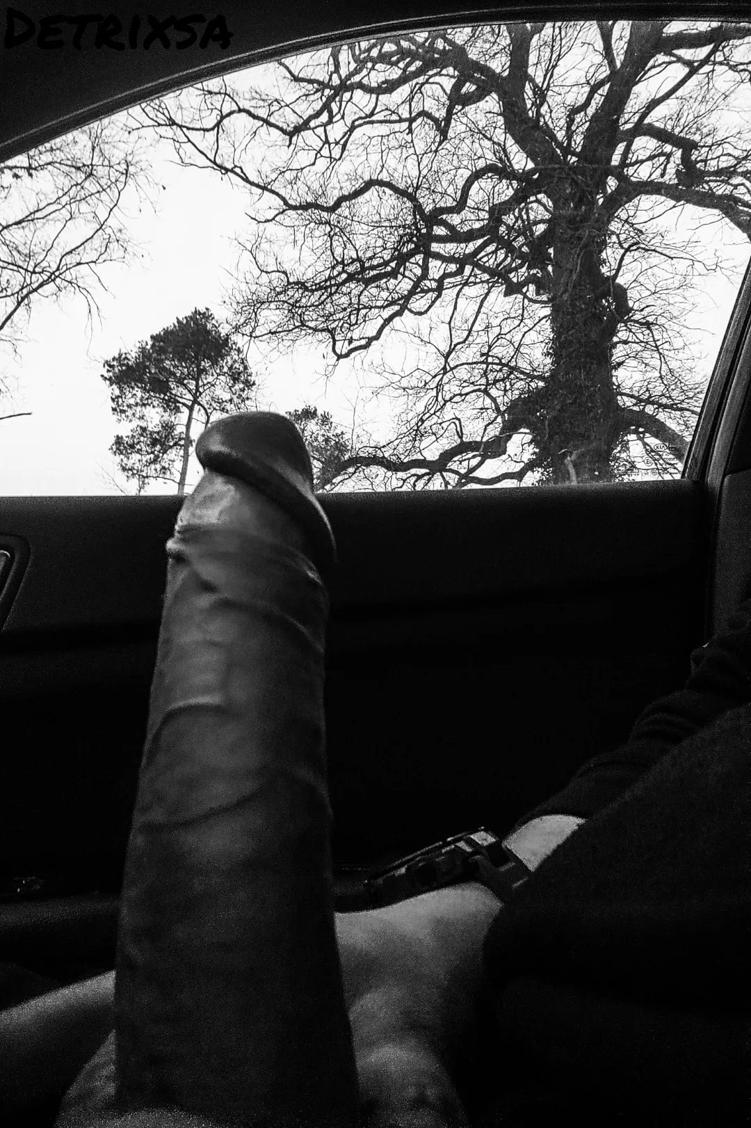 B/W in my car posted by Detrixsa