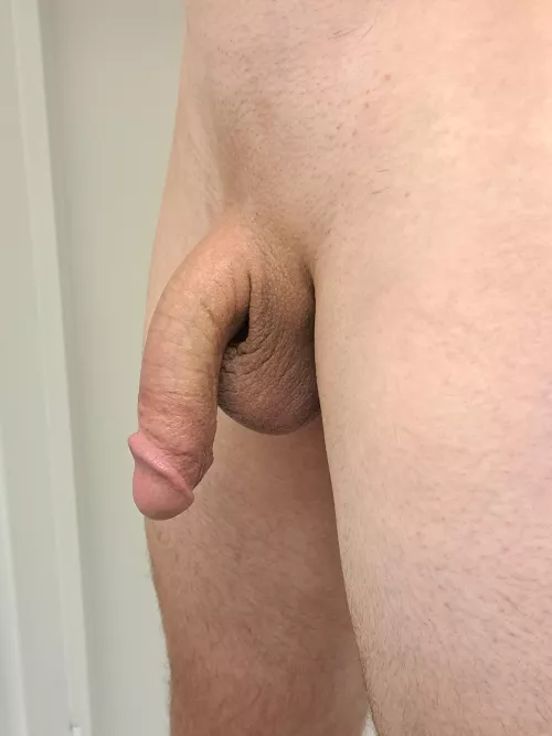 Does it look okay shaved?? by tawy000