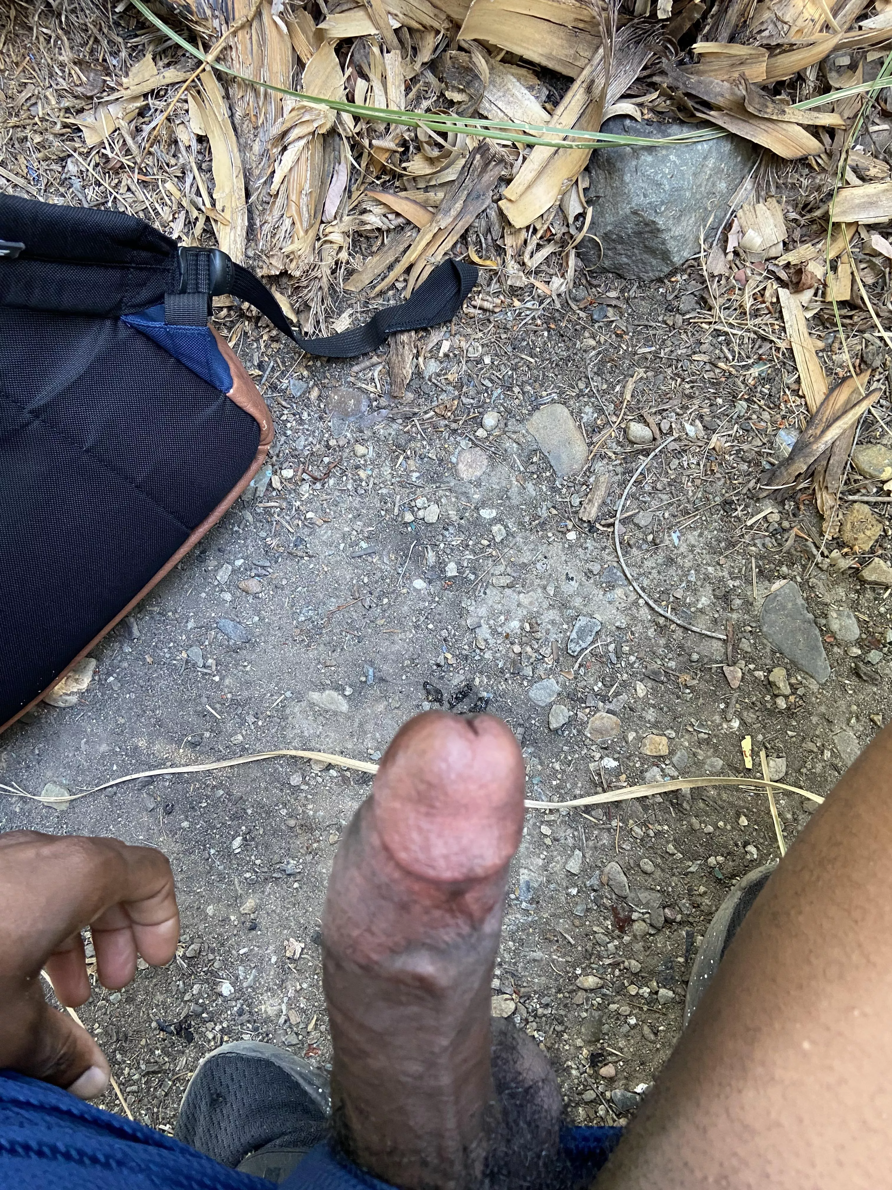 Exploring trails🌲 posted by ProfessionalLemon558