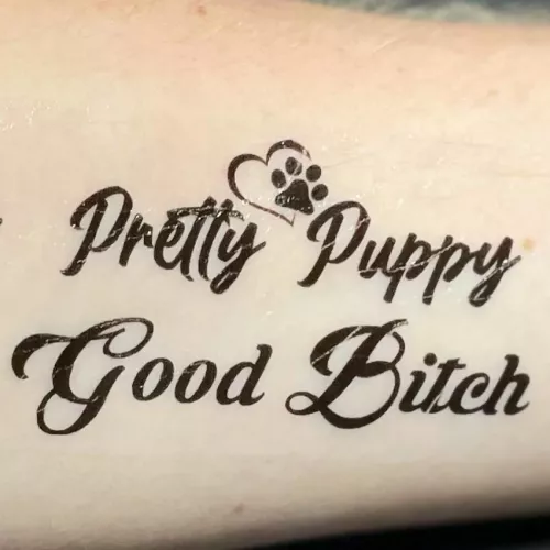 Finally got them, perfect to tell everyone what kind of puppy I am! 🤭 by Sparkthepup
