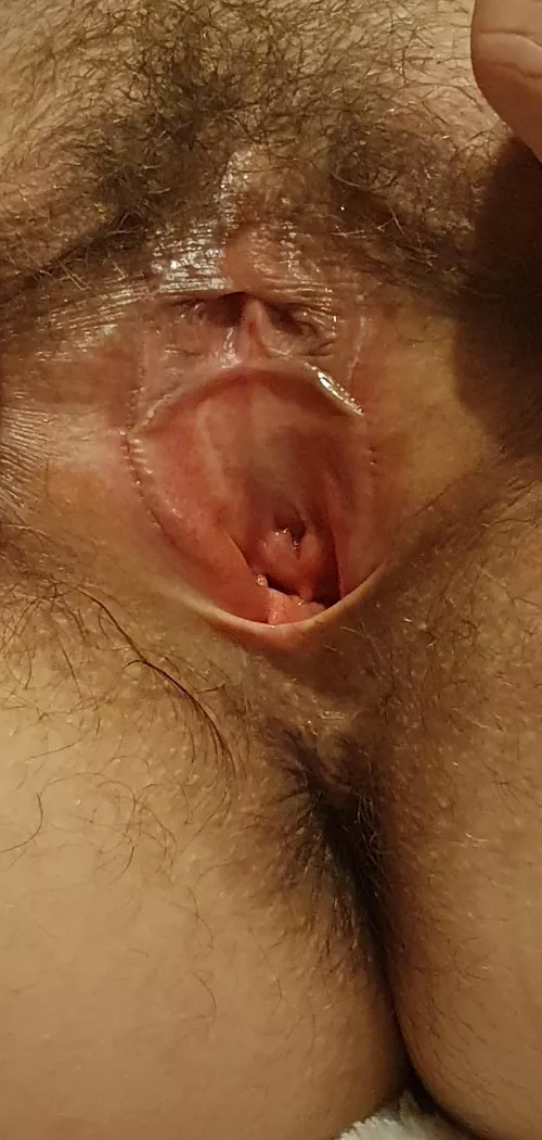 [H]airy enough by Significant-Coast-97