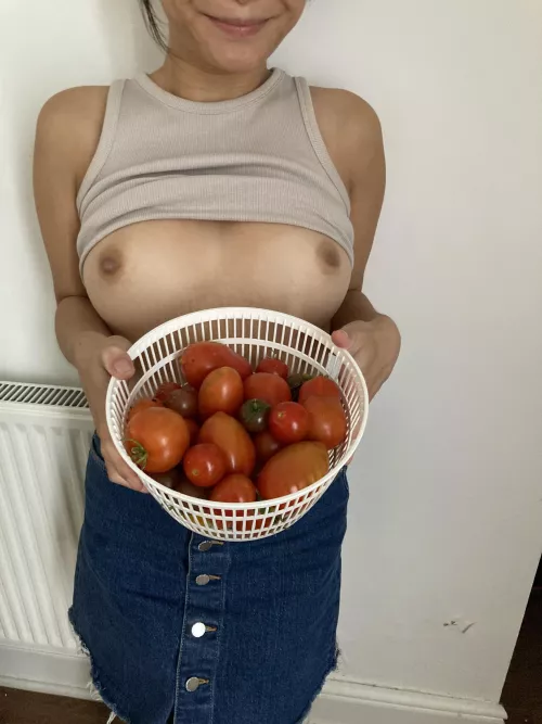 I’ve been Growing Fruit & Veg this summer for the First time. Here’s some Tomatoes I’ve grown…. Ohh & my Tits Too 🍅 by PetiteAsianTravels