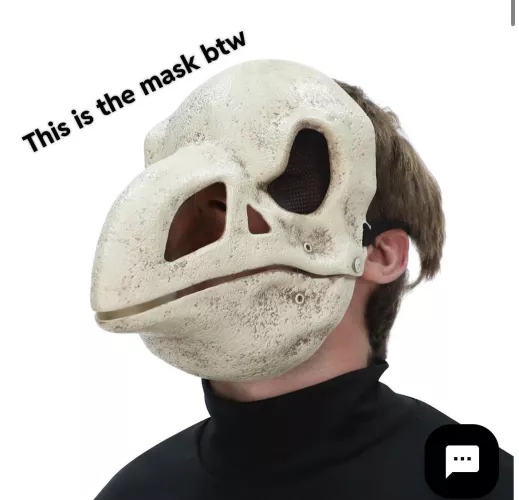 My mom threw out a Halloween crow mask because it was “evil” by rexypawzz