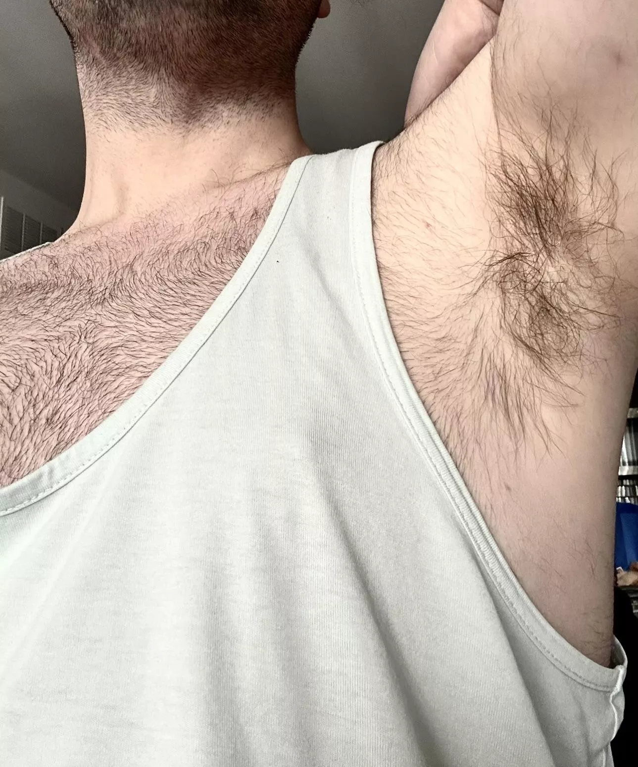 My pits aren’t gonna lick themselves posted by bjk0494