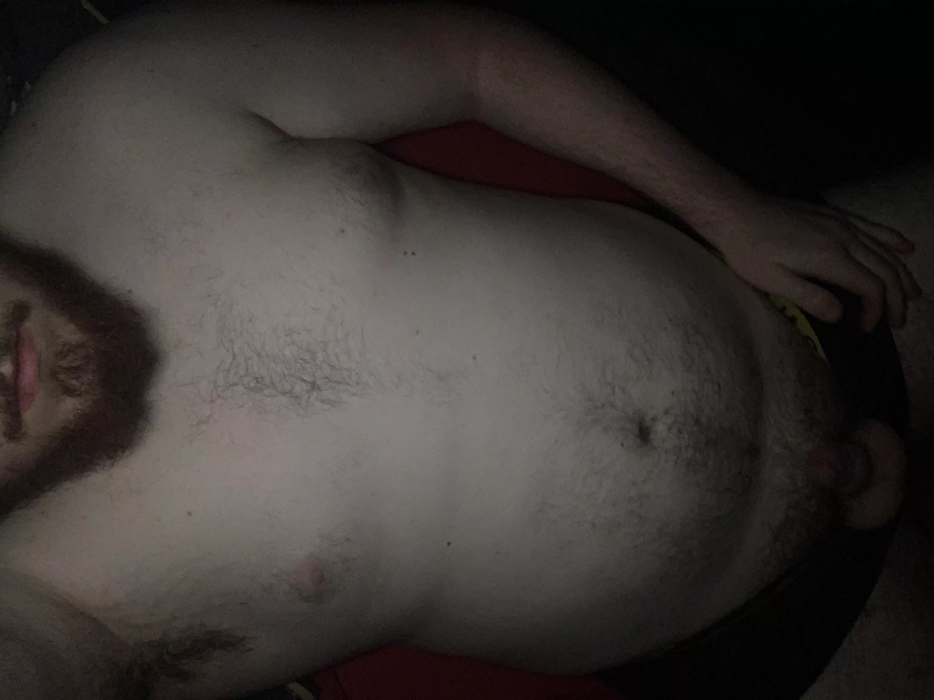 Up late anyone want to keep me company? posted by Keplerwolf