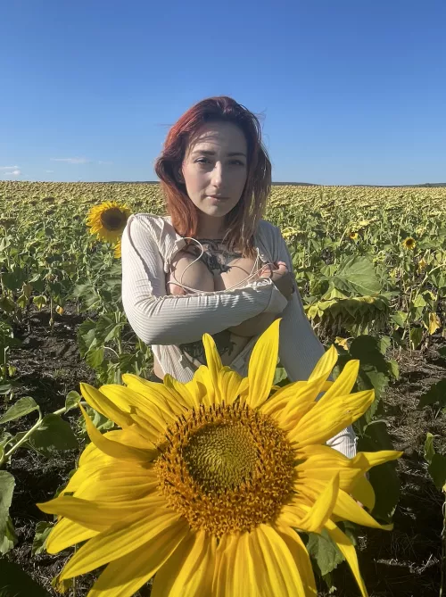 Where did you look 1st, and 2nd ... by Mind_Rina