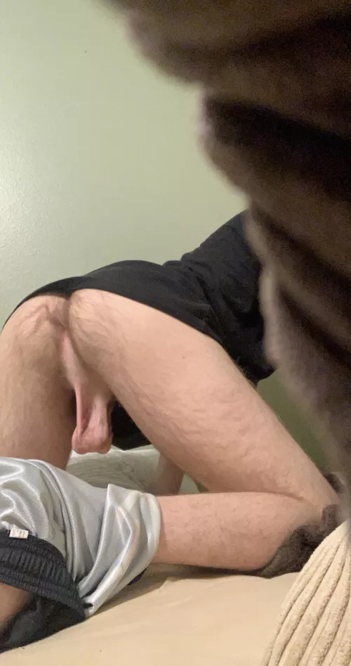 18| low hangers and a furry hole by Historical_Prompt254