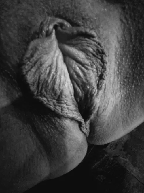 Butterfly Art 🥰 by Analitas