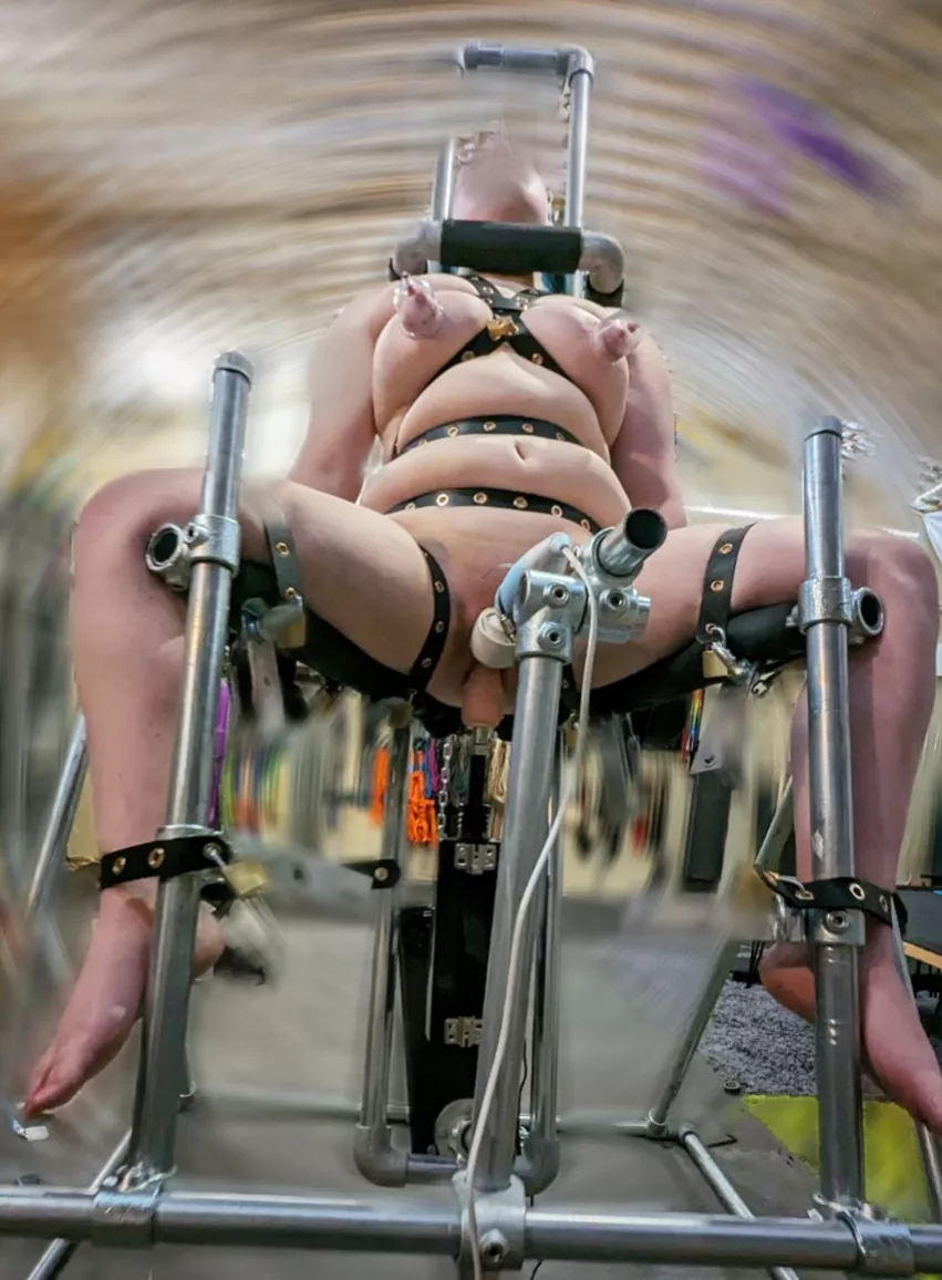 Gee whiz this was a bit fun 😝 posted by AnnRoweX