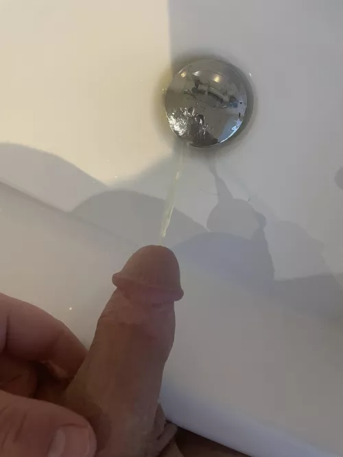 Grower !! Uk bi 40 by Discodickleeds