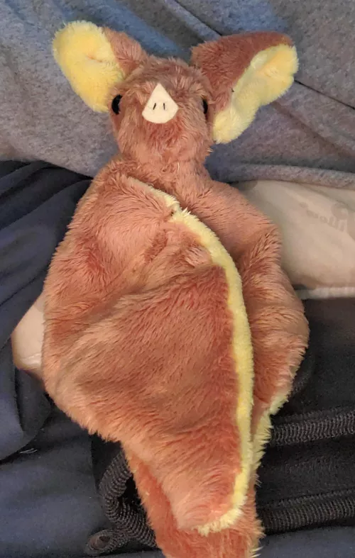 Just got into making plushies and here is my first success! by dingbatplushies