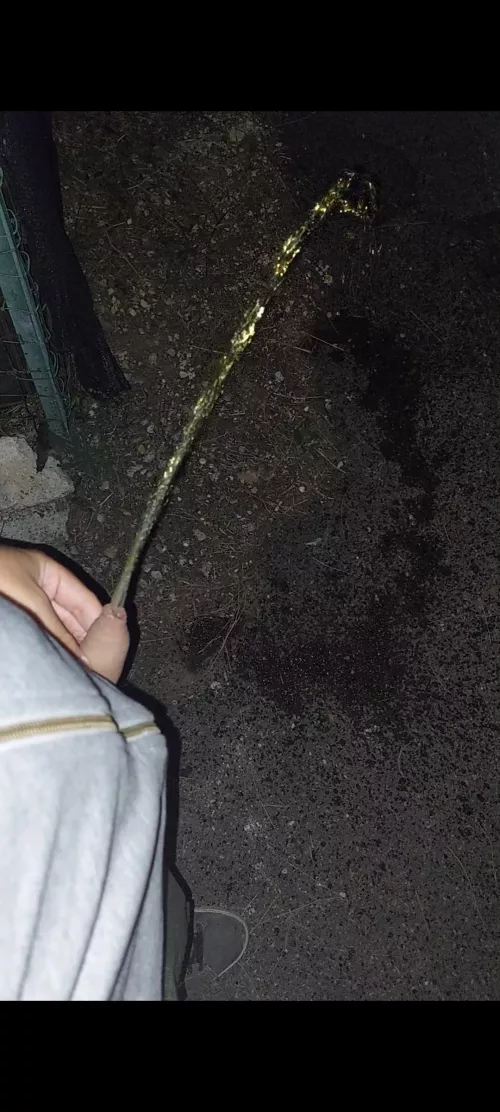 Peeing without pulling my foreskin back, I ended up wetting my hands 😆 by No-Echidna974