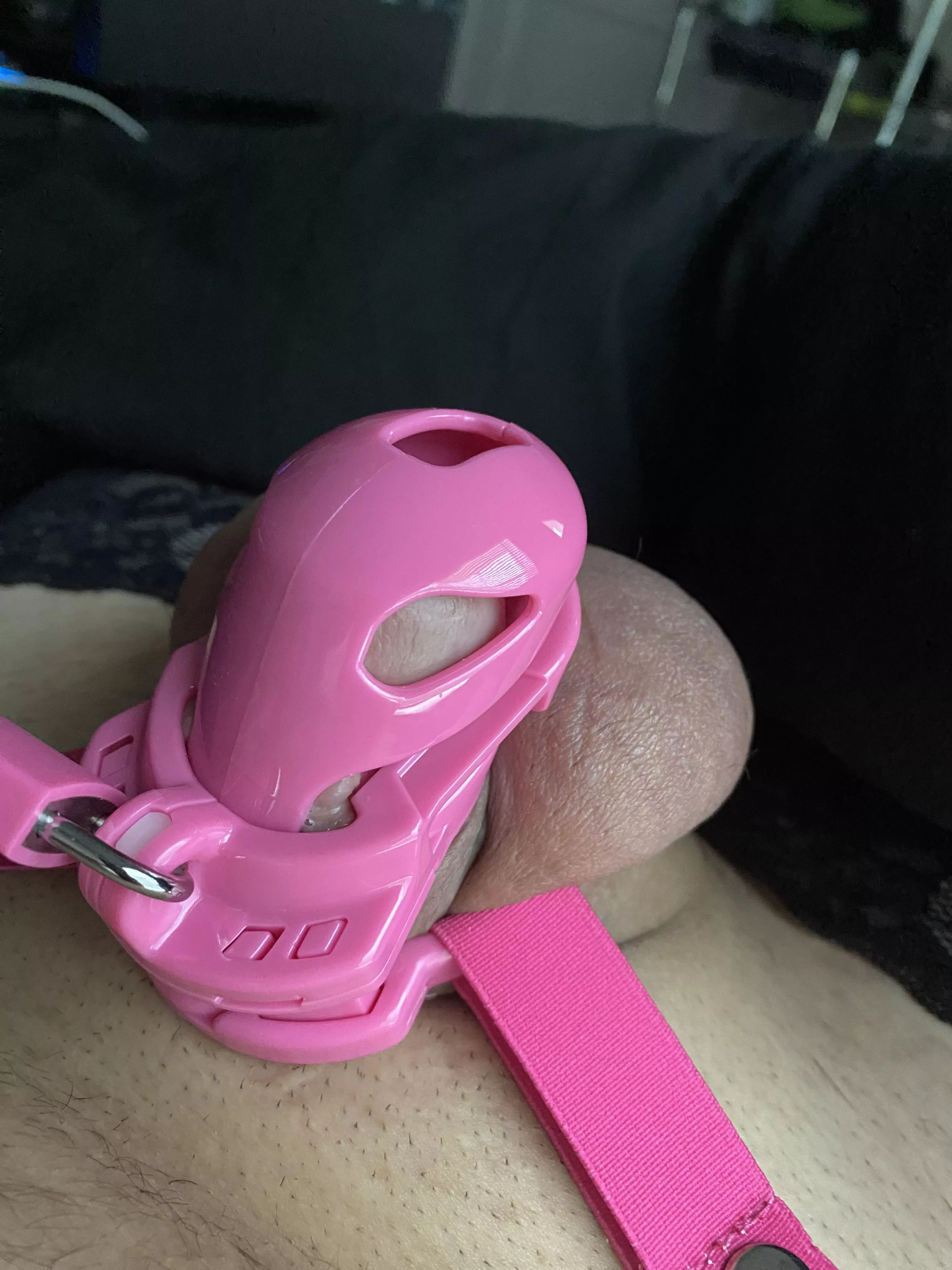 Day 1 🔒⬆️ posted by kaleesisson