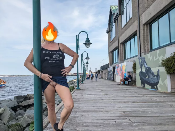 Enjoying the boardwalk and summer heat. by Stagvixenwatcher