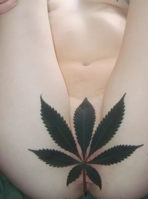 I just shaved so no (f)orest through the tree 😜 by fieryforyou