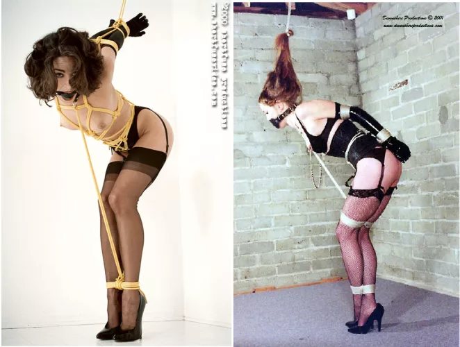 Left or right? by Quiet-Mind-5106