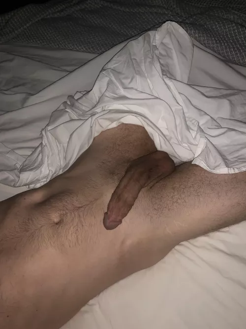 Well, good morning ☀️ by Ornery_Airport_6566