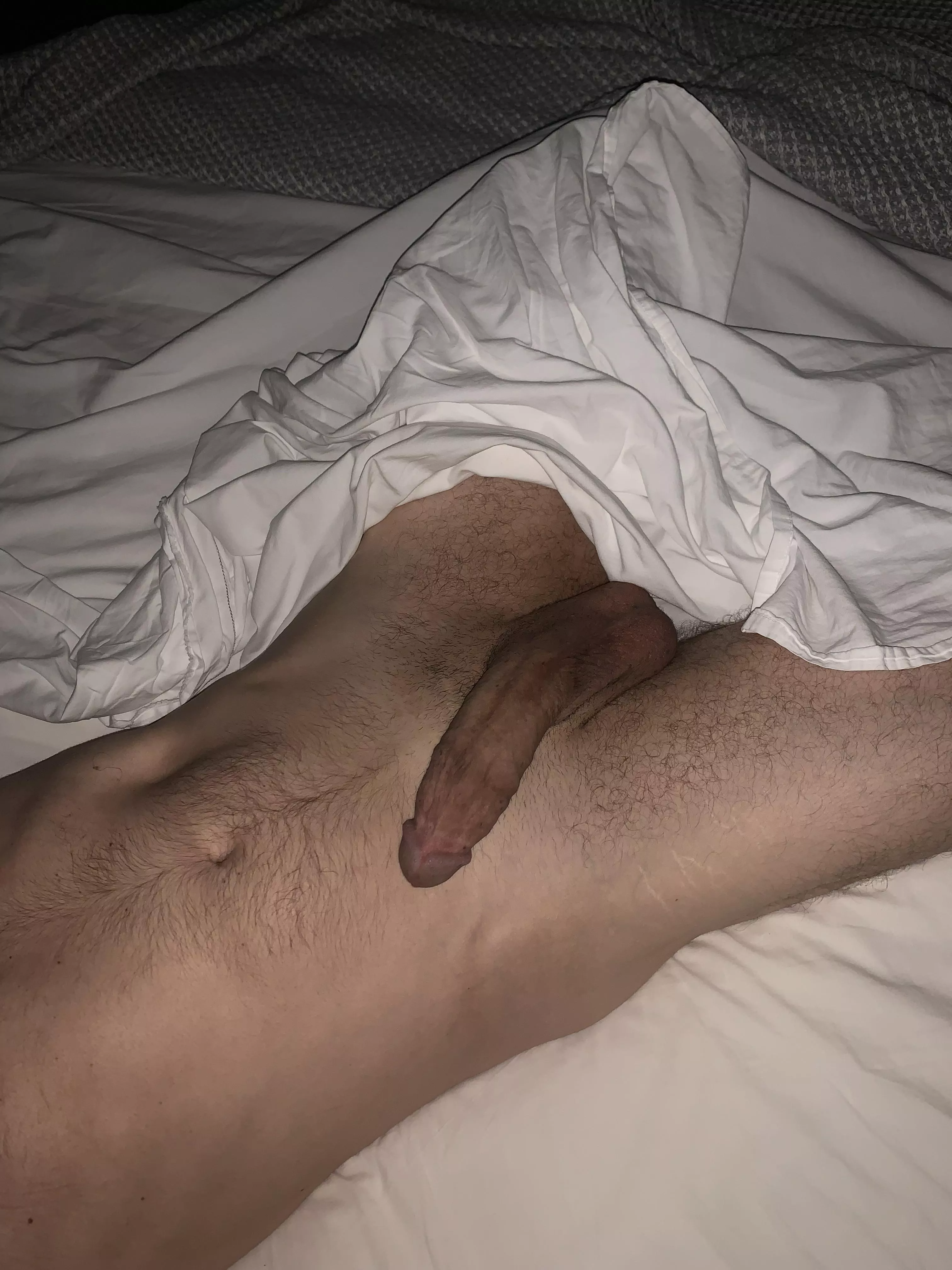 Well, good morning ☀️ posted by Ornery_Airport_6566