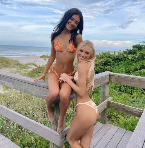 Which one? by hornynj