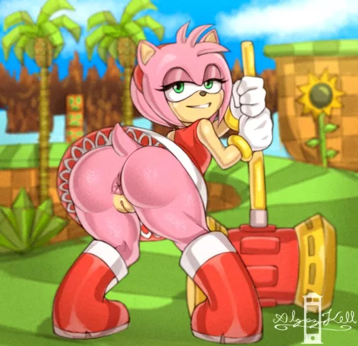 Amy does everything for Sonic (AlgozHell) by HerveAndObserve