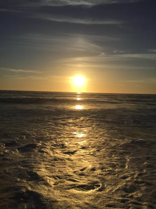 Do you want to go for a swim? by catyfeetseller