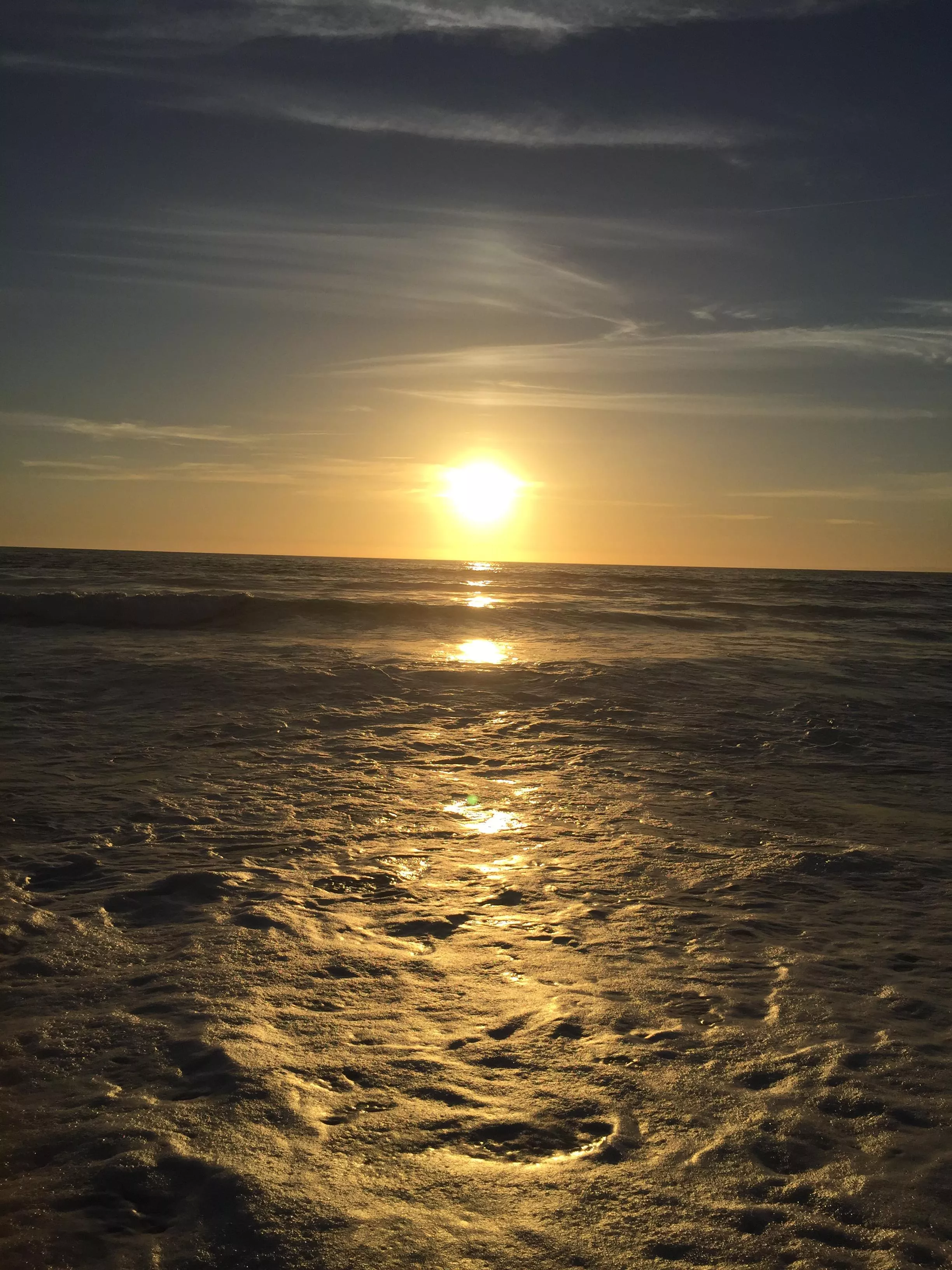 Do you want to go for a swim? posted by catyfeetseller