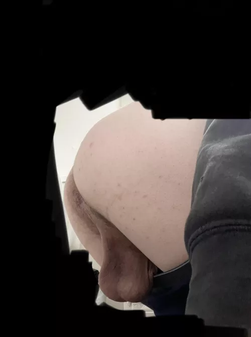 Eat my ass and tug my balls by bihungbull15