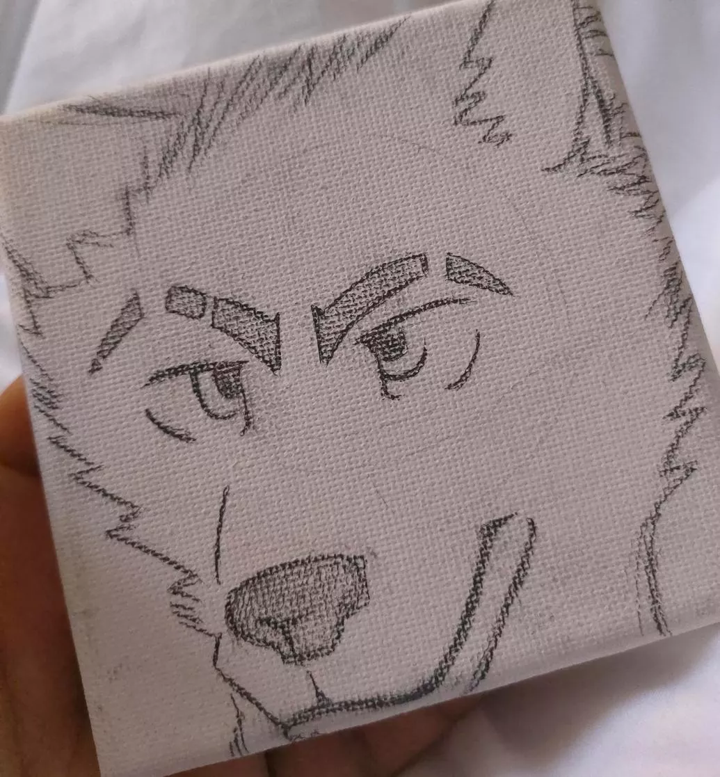 First time drawing on canvas posted by PositiveNature9863