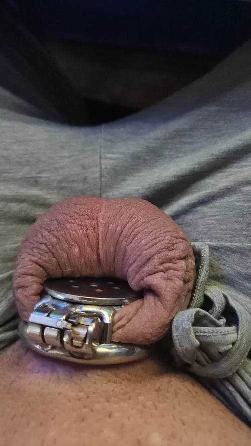 Flat cages are the most comfortable cage to wear all day even while working by Smooth_Rider69