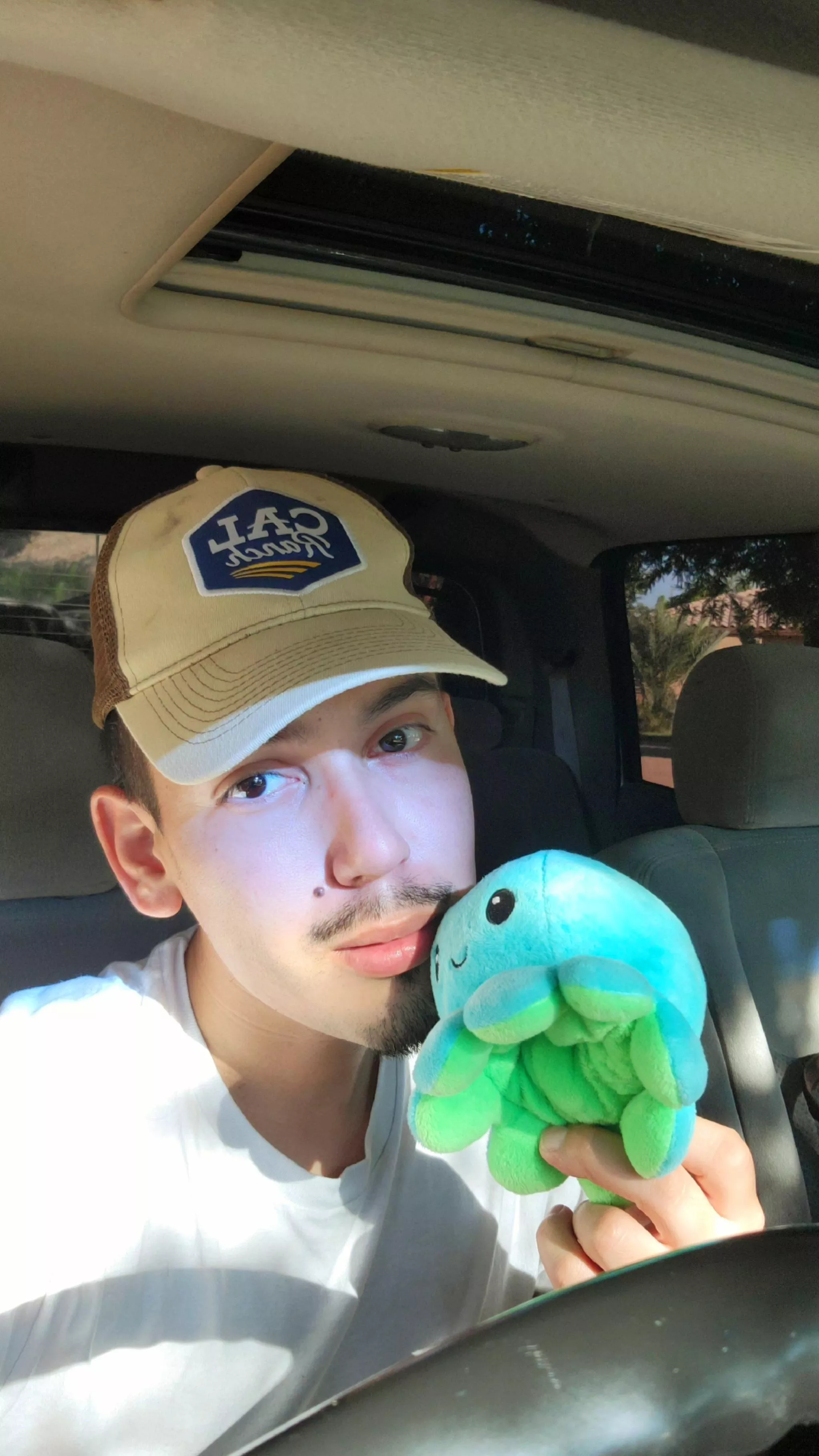 Hi!! I like plushies! 🐙🐨 posted by ikhouvansinaasappels